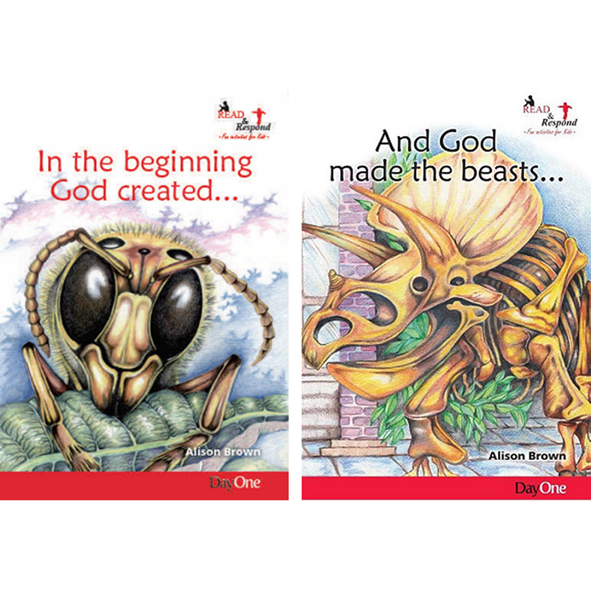 Read and Respond Pack | Answers In Genesis UK/Europe