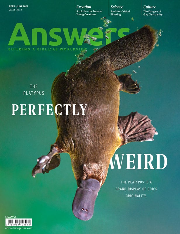 answers-magazine-vol-16-2-answers-in-genesis-uk-europe